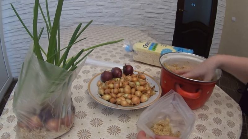 La technologie de plantation et de culture d'oignons dans un emballage sans terre est un super moyen!