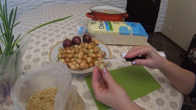 La technologie de plantation et de culture d'oignons dans un emballage sans terre est un super moyen!
