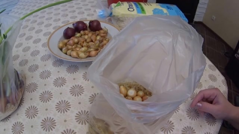 La technologie de plantation et de culture d'oignons dans un emballage sans terre est un super moyen!