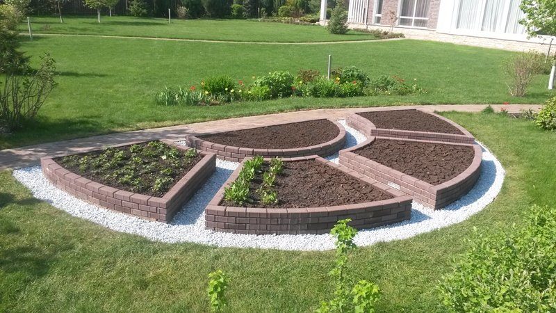 Instructions étape par étape pour faire pousser des carottes à partir de zéro