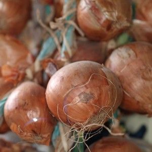 Comment guérir 100 maladies: l'utilisation des pelures d'oignon en médecine traditionnelle