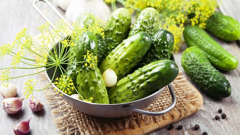 Recettes de concombre croustillant sans stérilisation pour l'hiver