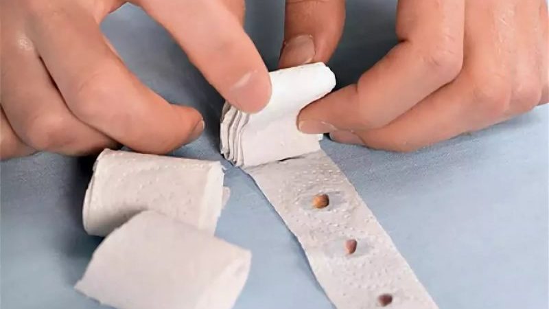 Comment planter correctement des graines de carotte sur un ruban et comment les faire à la maison