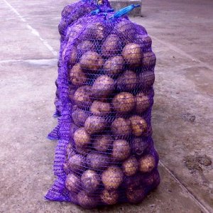 Pourquoi un sac en filet pour pommes de terre est-il bon et comment l'utiliser correctement