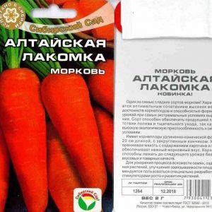 Une variété douce et délicate de carottes Altai gourmet