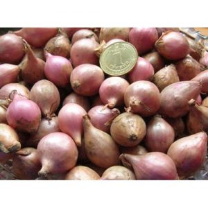 Délicieux oignon Rossana: description et conseils pour la culture