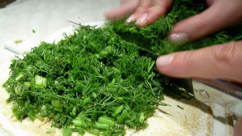 L'aneth pour les victoires des hommes: avantages et inconvénients pour la santé des hommes