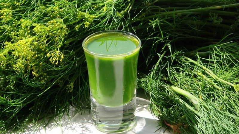 L'aneth pour les victoires des hommes: avantages et inconvénients pour la santé des hommes