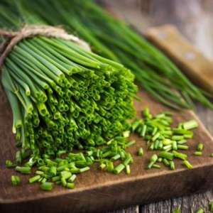 Choisir quel oignon planter sur les verts avant l'hiver et le planter correctement