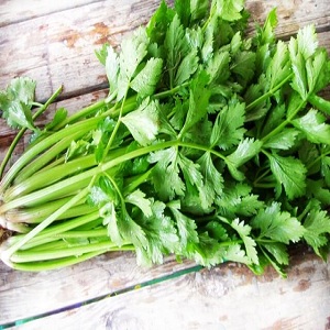 Qu'est-ce que le céleri: aperçu, règles d'utilisation et technologie de culture