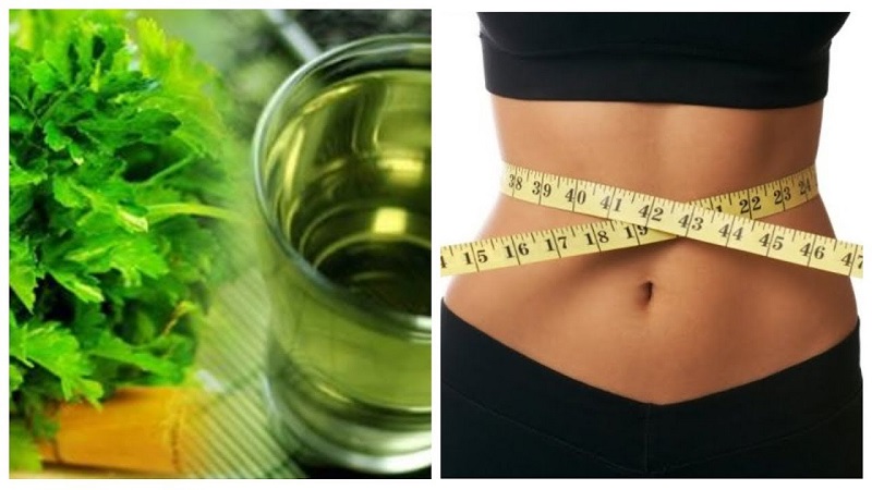 Comment prendre du persil pour perdre du poids: les meilleures recettes pour brûler les graisses