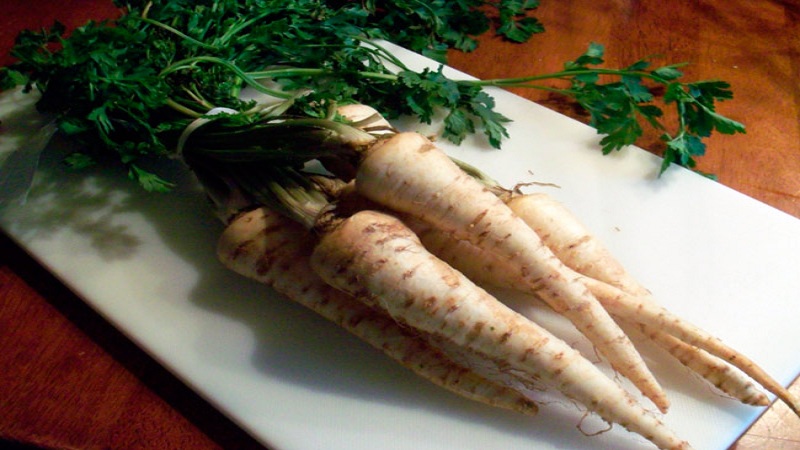 Examen des meilleures variétés de persil et de leurs variétés