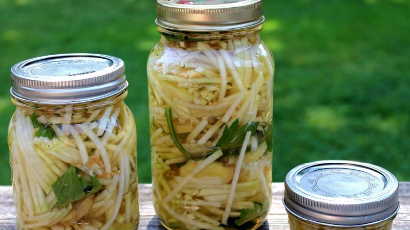 Les meilleures recettes de flans de céleri pédonculé pour l'hiver