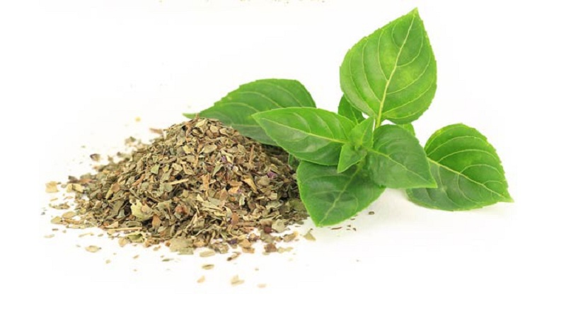 Comment bien préparer le basilic pour l'hiver à la maison de différentes manières