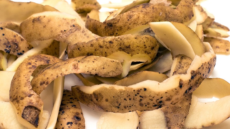 Quelle est la meilleure façon d'ajouter au sol lors de la plantation de carottes: les secrets d'une récolte riche