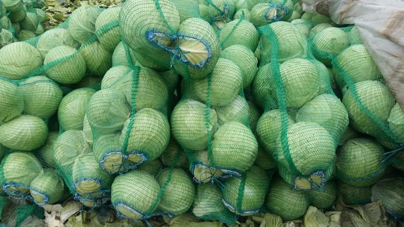 Où et comment conserver le chou frais à la maison dans un appartement