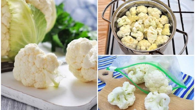 Où et comment conserver le chou frais à la maison dans un appartement