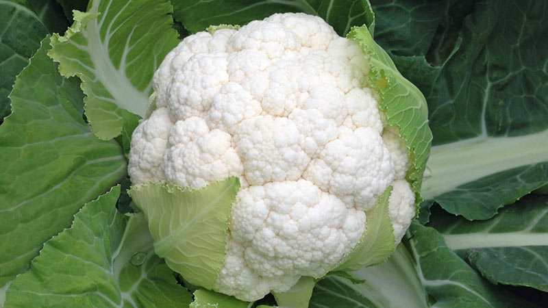 Comment remplacer les pommes de terre pendant un régime