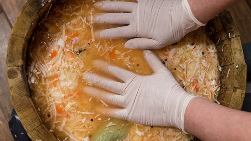 Choucroute - composition, avantages et règles d'utilisation