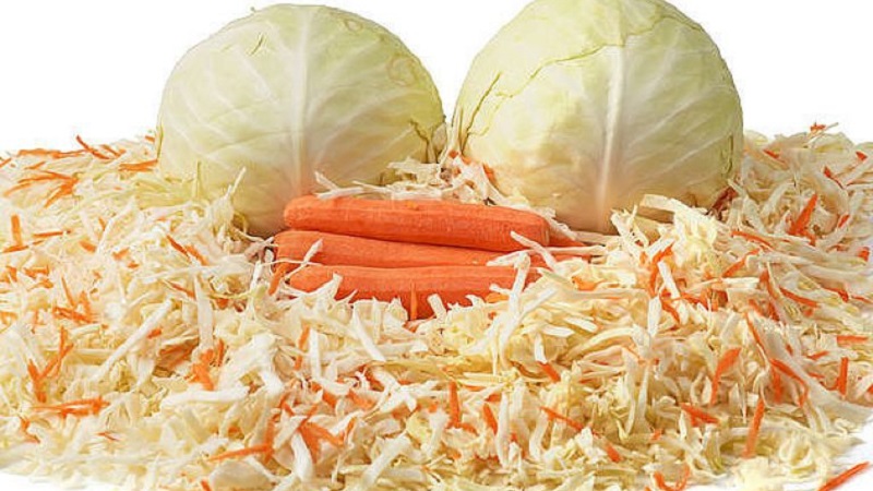 Préparer les phases de la lune: quand vaut-il mieux saler le chou pour l'hiver selon le calendrier lunaire