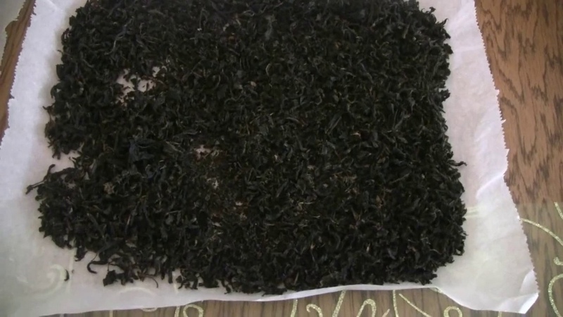 Un guide étape par étape pour la fermentation des feuilles de cassis pour le thé à la maison