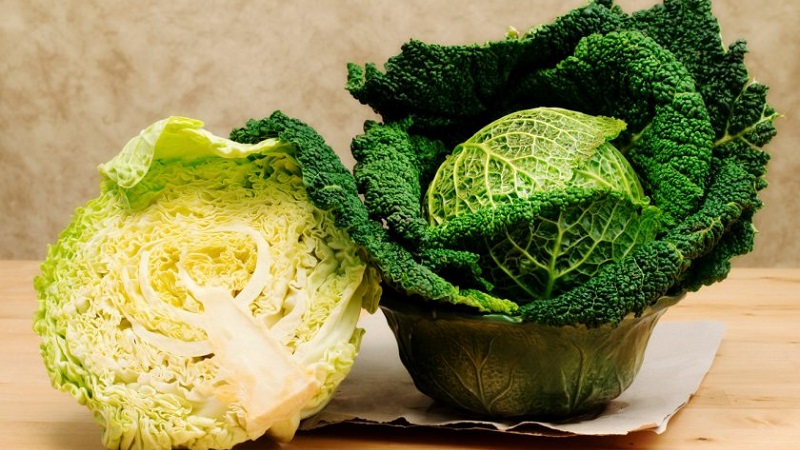 Description, culture, variétés populaires de chou frisé