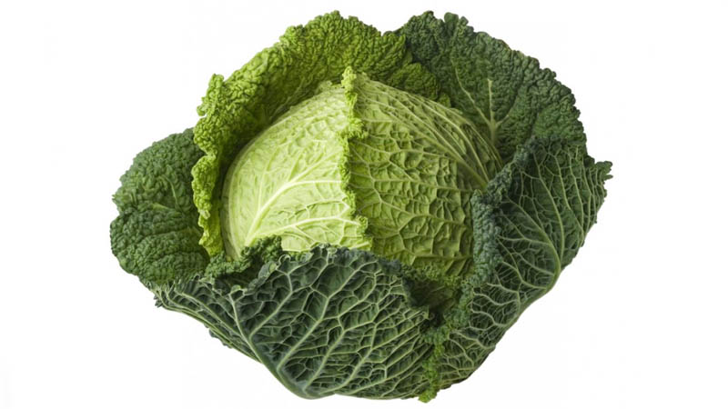 Description, culture, variétés populaires de chou frisé