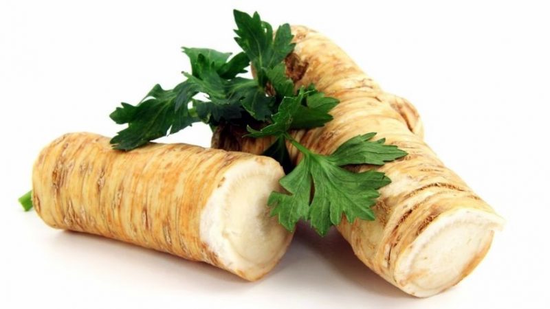 Brûler à blanc à faire soi-même: est-il possible de congeler le raifort pour l'hiver et comment le faire correctement