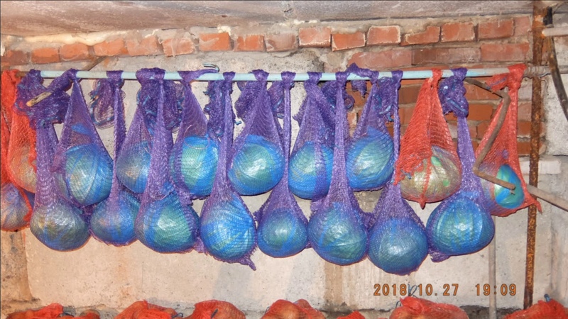 Les meilleures façons de stocker le chou dans la cave en hiver