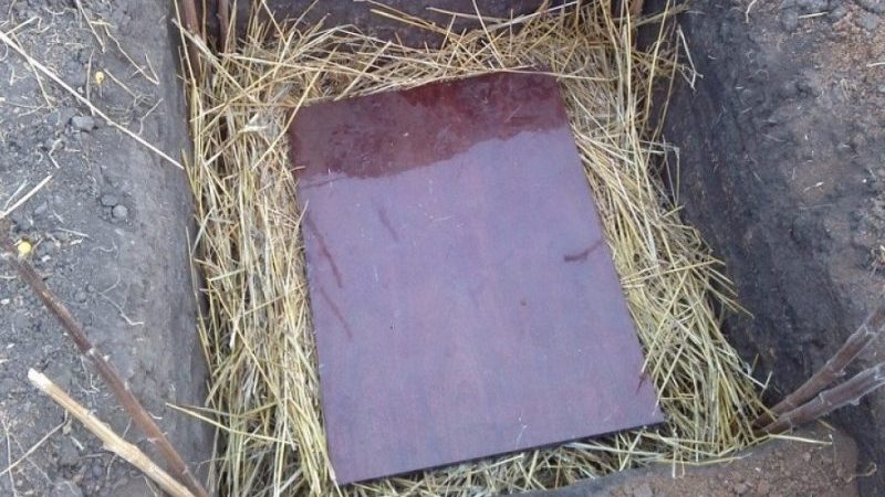 Comment conserver les pommes de terre en hiver dans une maison privée sans cave