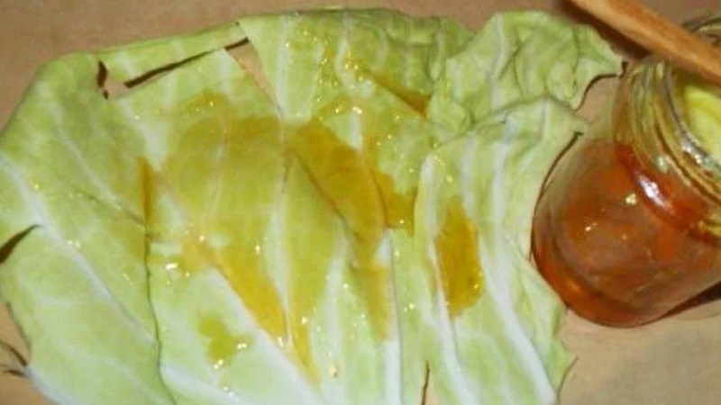 Comment utiliser le chou avec du miel pour la toux et son efficacité