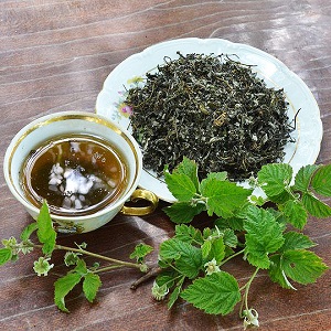 Comment préparer correctement les feuilles de framboisier pour l'hiver pour le thé à la maison