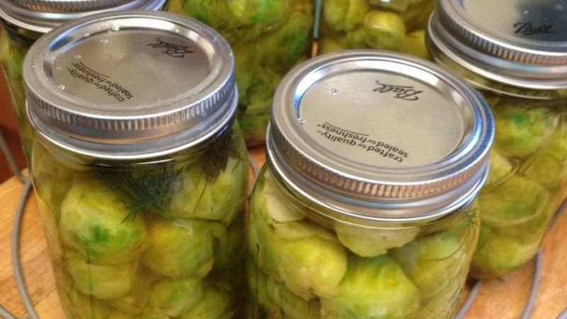 Les meilleures recettes pour saler les choux de Bruxelles pour l'hiver