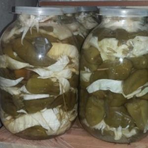 Les meilleures recettes pour saler le poivre tarkin avec du chou rapidement et savoureusement