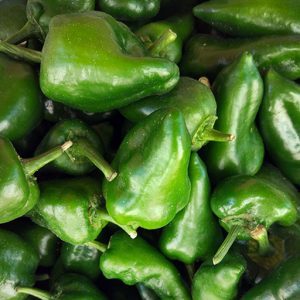 Les meilleures recettes pour saler le poivre tarkin avec du chou rapidement et savoureusement