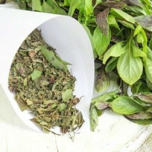 Quand ramasser et comment bien sécher le basilic à la maison