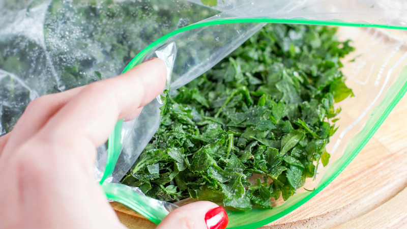Meilleures recommandations sur la façon de préparer le persil pour l'hiver et d'en préserver la saveur