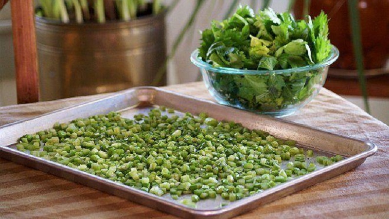 Comment préparer différents types de céleri pour l'hiver: les meilleures façons et des recettes éprouvées