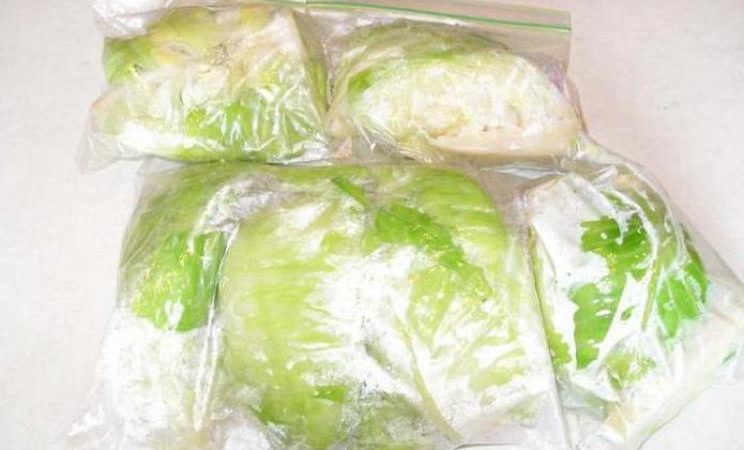 Les meilleures façons de congeler le chou blanc pour l'hiver à la maison