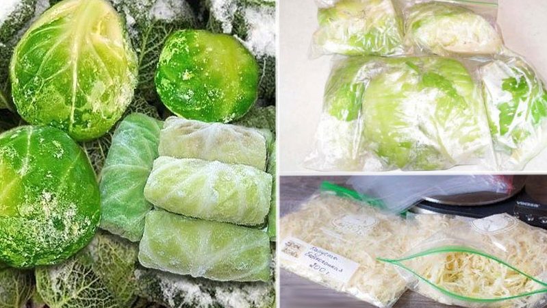 Les meilleures façons de congeler le chou blanc pour l'hiver à la maison