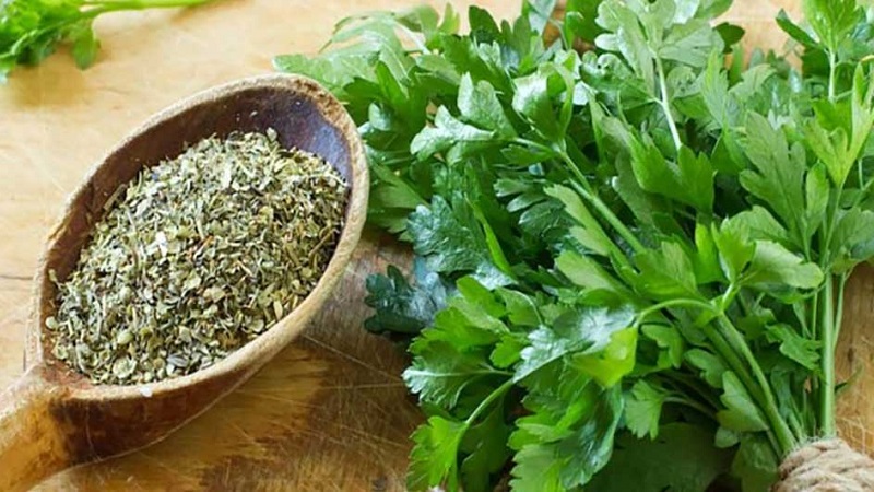 Comment faire du persil comme diurétique