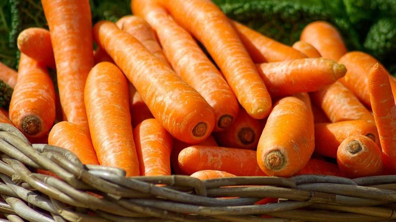 Teneur en calories, vitamines et valeur nutritionnelle des carottes fraîches et cuites