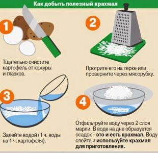 Comment faire de la fécule de pomme de terre à la maison