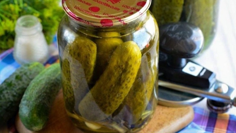 De délicieuses recettes pour l'hiver: des concombres marinés froids en pots