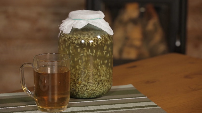 Propriétés curatives de l'avoine: recettes folkloriques et contre-indications