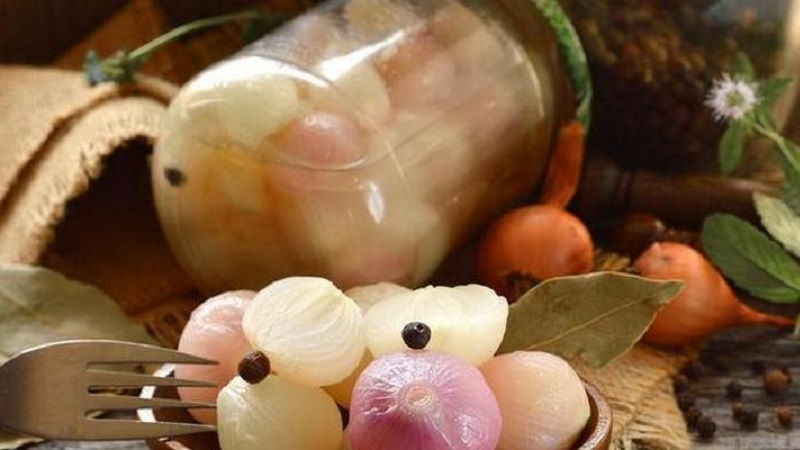 Les meilleures recettes d'oignons marinés pour l'hiver à la maison