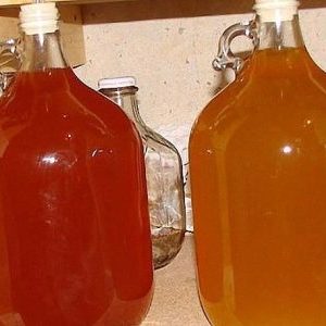 Les meilleures recettes pour récolter les navets pour l'hiver auprès de ménagères expérimentées