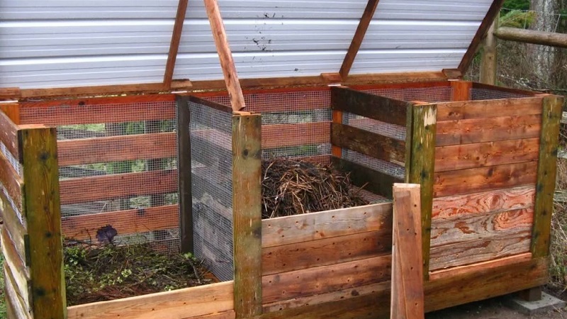 Est-il possible de mettre des têtes de pommes de terre dans un tas de compost et comment l'appliquer autrement sur le site