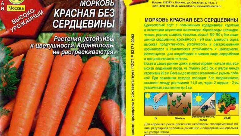 Caractéristiques des carottes rouges sans noyau