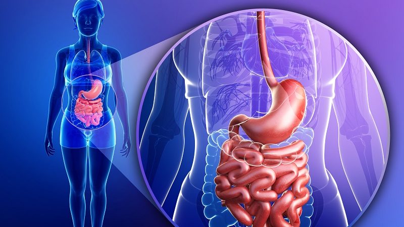 Caractéristiques de la digestion du sarrasin: combien de temps est absorbé